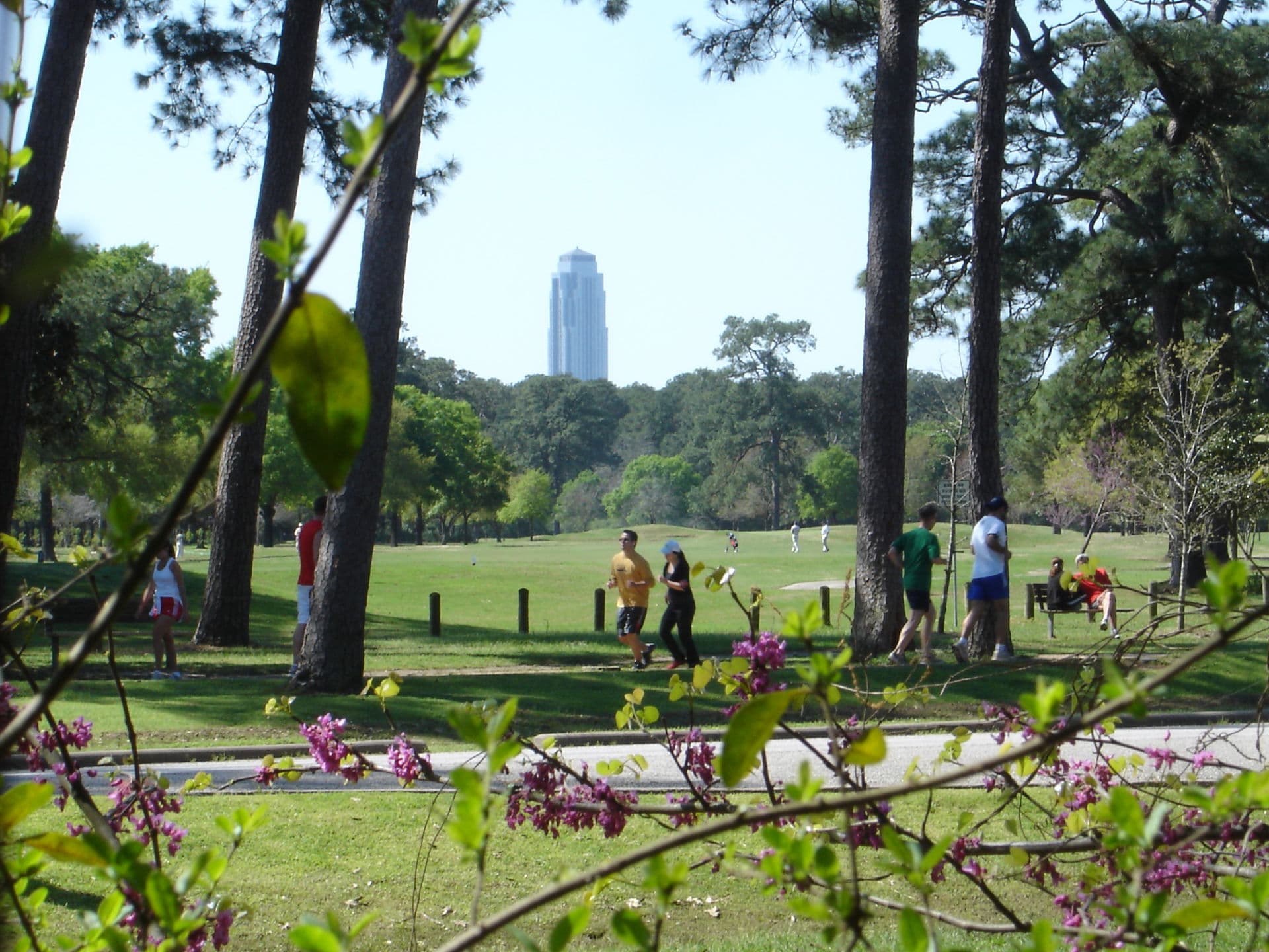 Memorial Park Eastern Glades